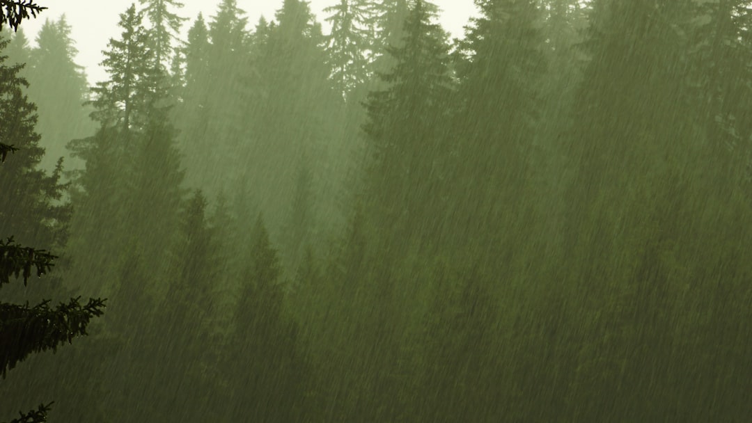 Sicher und einfach: So gelingt der Radwechsel mit einem Wagenheber