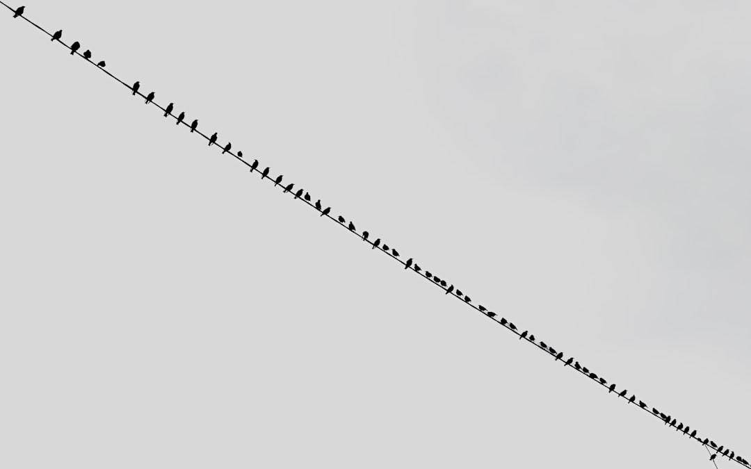 Sicher links abbiegen: Wann Sie auf den nachfolgenden Verkehr achten müssen