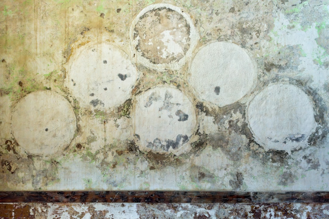 Verputzen Kosten: Alles, Was Sie Über Die Preise Für Putzarbeiten Wissen Sollten