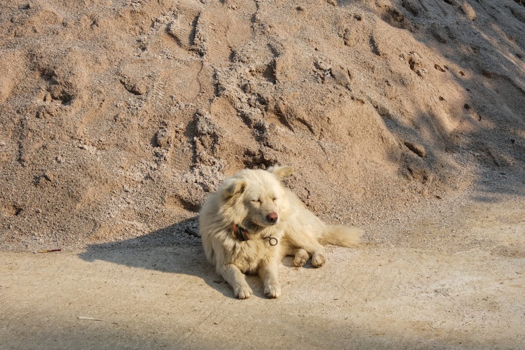 Was bedeutet perfide? Die Bedeutung und Verwendung im Alltag
